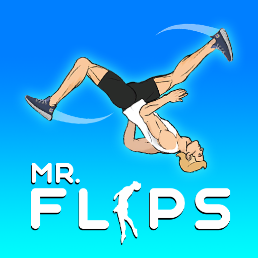 Mr Flip Preview