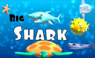 Big Shark Game