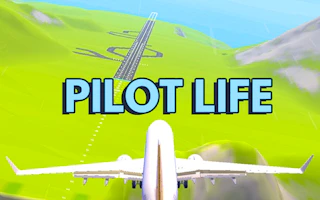 Pilot Life - Flight Game 3D Preview