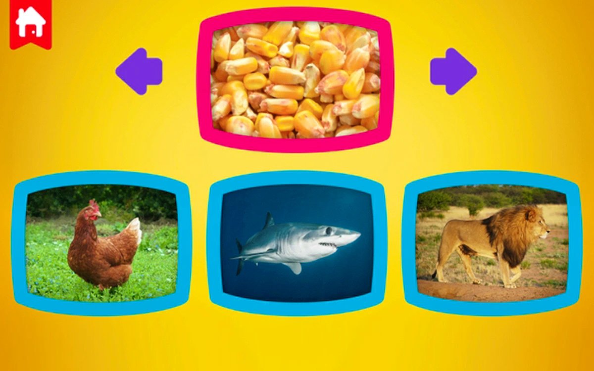 What Do Animals Eat? Preview
